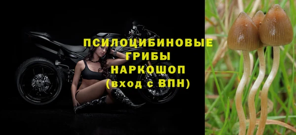 винт Верхний Тагил
