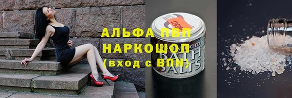 крисы Верея